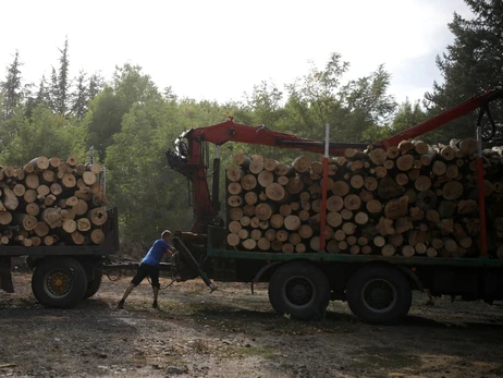5 питань про «ДроваЄ»: навіщо це потрібно і скільки дров можна замовити