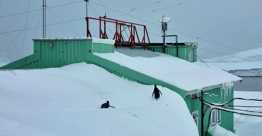 На станции «Академик Вернадский» новый снежный рекорд: почти 3,5 метра