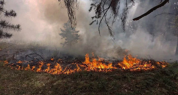 Росіяни завдали ударів по Херсонщині, є постраждалі