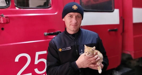 В Харьковской области пожарные взяли к себе котенка, которого спасли на предприятии