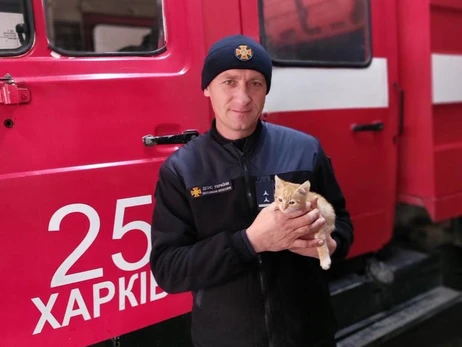 У Харківській області пожежники взяли до себе кошеня, яке врятували на підприємстві