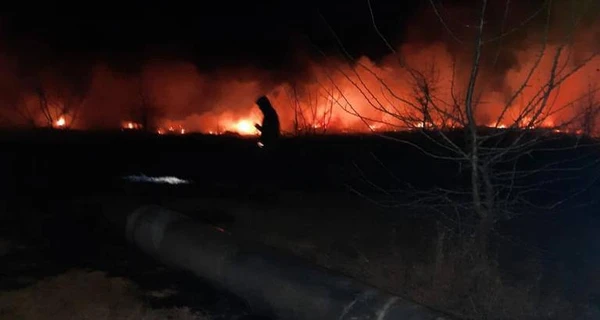 Війська Росії завдали ударів по Харківській області