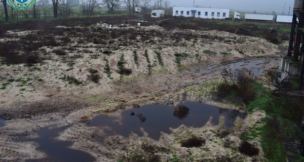 Прокуратура: птахофабрику в Чорнобаївці росіяни перетворили на масове поховання птахів
