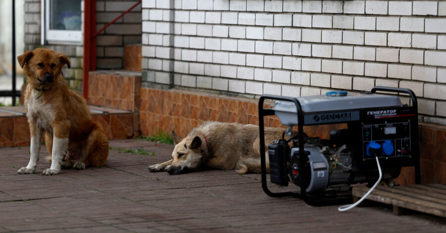 Шум генератора – это звук благополучия. Кому жаловаться, если досаждает ...
