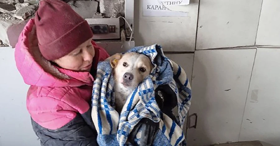 З-під завалів зруйнованої ракетами РФ аптеки у Куп’янську врятували пса