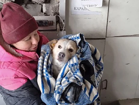 Из-под завалов разрушенной ракетами РФ аптеки в Купянске спасли пса