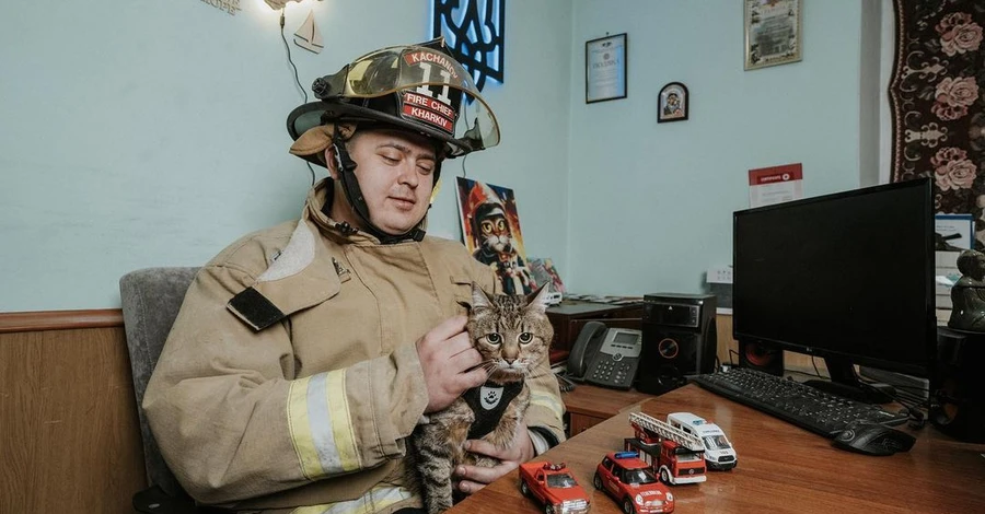 Кот Степан познакомился с харьковскими пожарными
