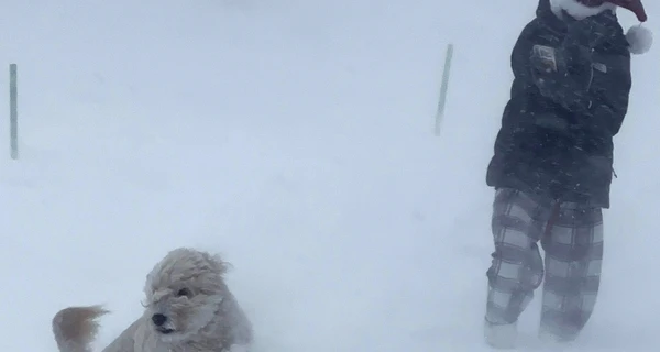 В США вирує снігова буря, загинули щонайменше 22 людини