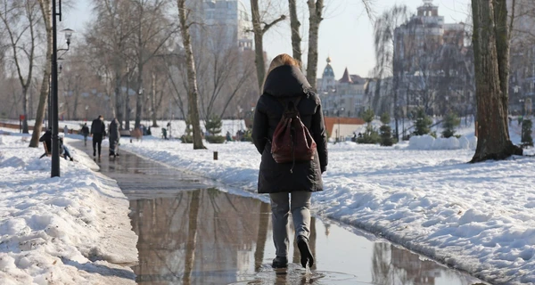 Народный синоптик: Середина зимы будет теплой и дождливой