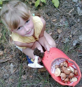 Трехлетнюю девочку погубил грибной ужин 