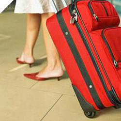 В аэропорту старушка по ошибке сдала себя в багаж 