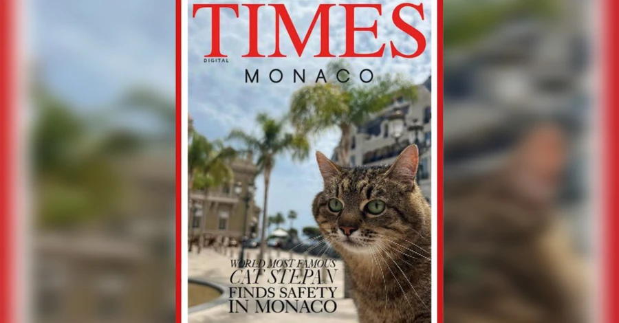 Харьковский кот Степан снялся для обложки журнала Times Monaco