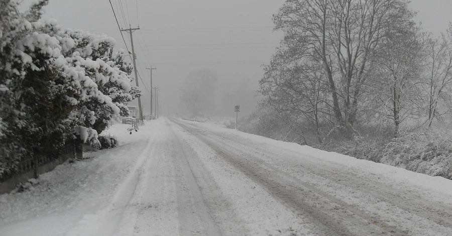 Львівську область накрило снігопадами - десятки населених пунктів знеструмлено