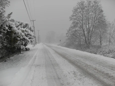 Львовскую область накрыло снегопадами - десятки населенных пунктов обесточены