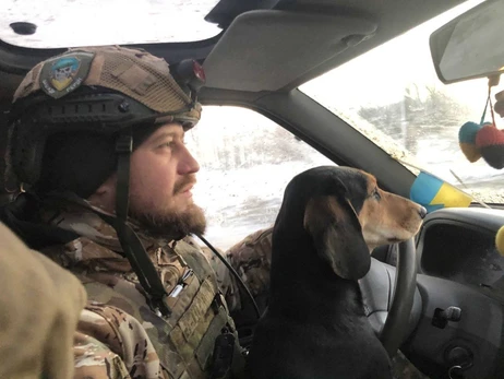 Пес Банан, прибившийся к пограничникам на Донбассе, обживается в новом доме на Киевщине