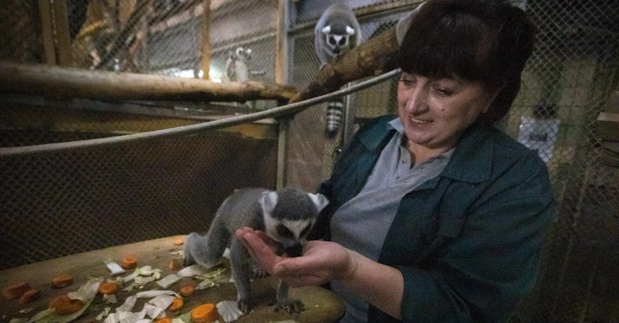 Київський зоопарк показав маленьких жителів, які народилися від початку війни