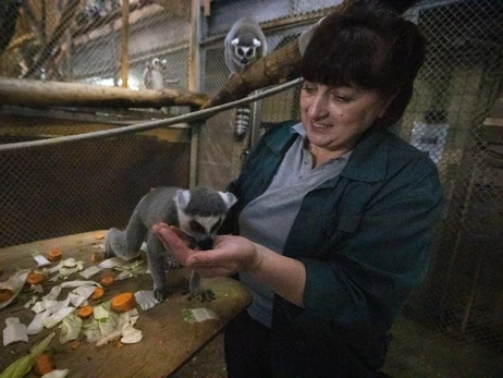 Київський зоопарк показав маленьких жителів, які народилися від початку війни