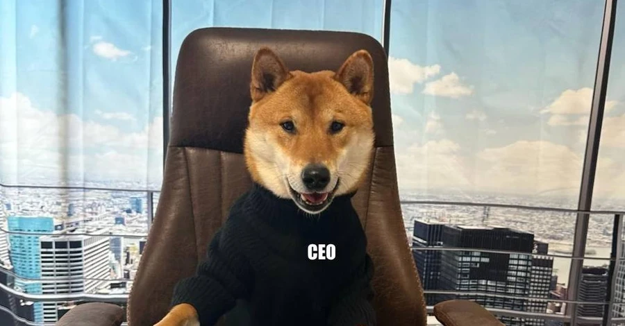 Илон Маск намешил соцсети снимками своего пса в кресле главы Twitter