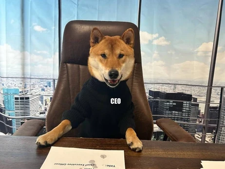 Ілон Маск насмішив соцмережі знімками свого пса у кріслі глави Twitter