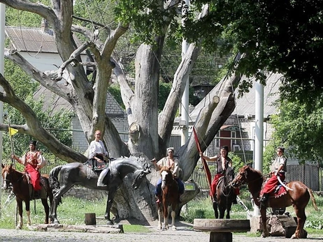 Хранители дерева: Запорожский дуб-патриарх жив – ему больше ничего не угрожает
