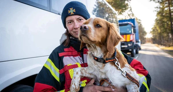 Українські рятувальники та їхні службові собаки повернулися із зони землетрусу в Туреччині