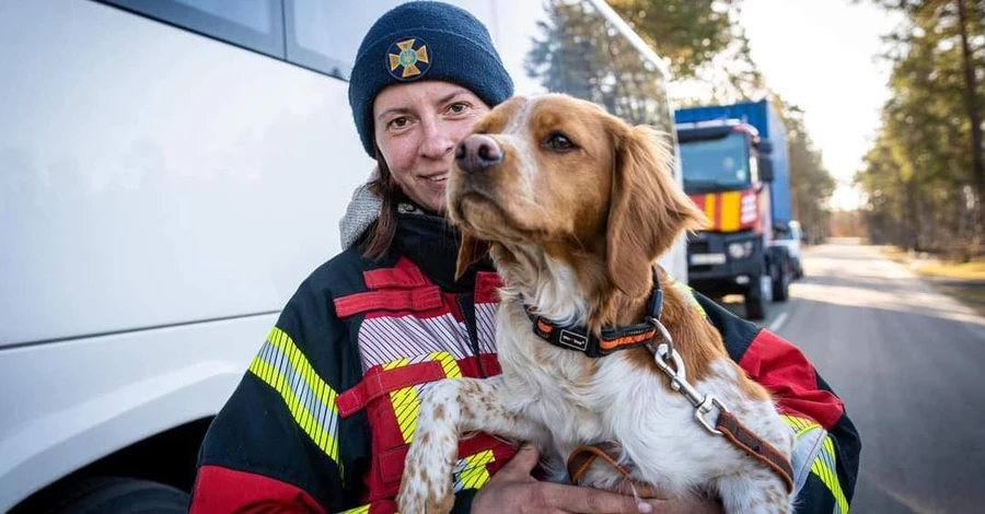 Українські рятувальники та їхні службові собаки повернулися із зони землетрусу в Туреччині