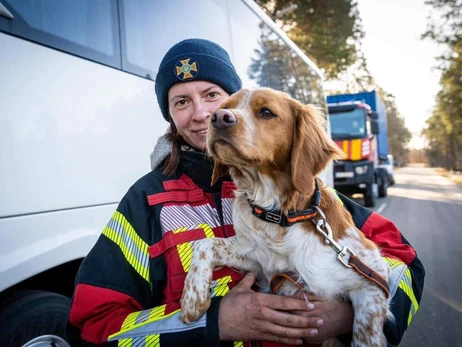 Українські рятувальники та їхні службові собаки повернулися із зони землетрусу в Туреччині