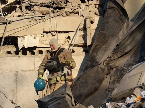 В Запорожье из-под обломков разрушенной российской ракетой 5-этажки спасли кота