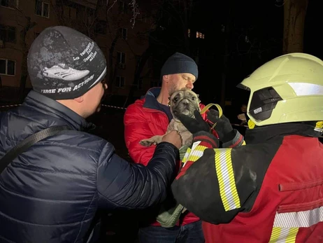 У Запоріжжі врятували собаку, який близько двох діб знаходився під завалами