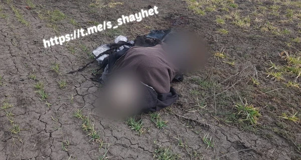 На Миколаївщині четверо людей підірвалися на мінах: є загиблий та поранені