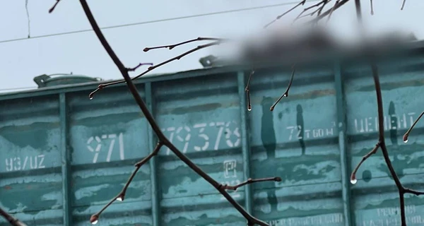 Під Києвом від удару струмом загинув підліток, який заліз на вагон