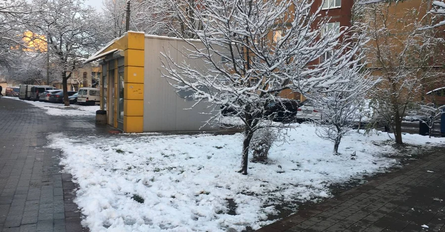 Погода в Україні 13 березня: мокрий сніг та сильний вітер