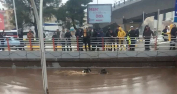 У постраждалих від землетрусів провінціях Туреччини почалися повені