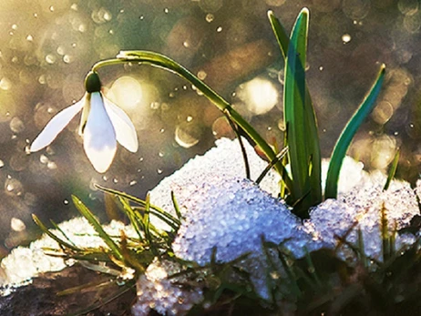 Погода в Україні 16 березня: вночі - сніг, вдень до 13 градусів тепла