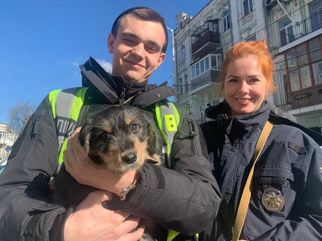 У Києві поліцейські врятували цуценя від жорстокої власниці