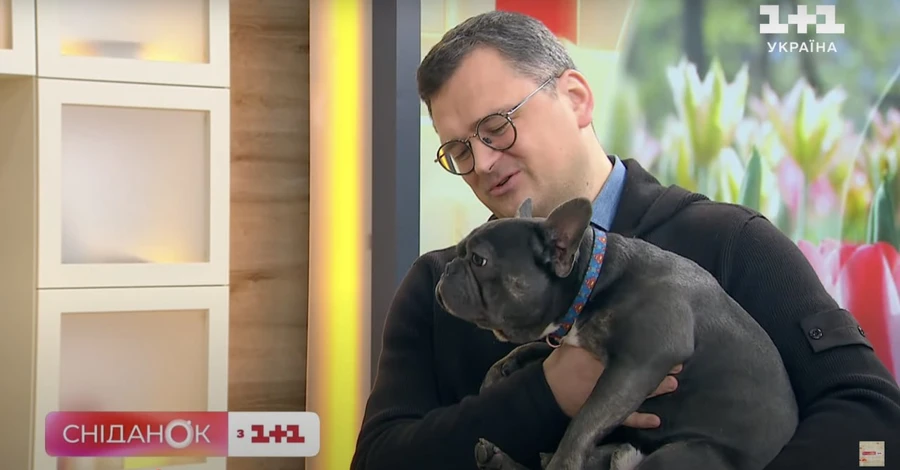 Кулеба показал подросшего пса Марика, которого спасли из Мариуполя
