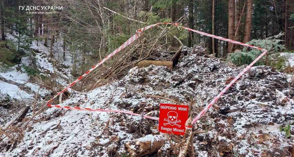 В Херсонской области местный житель подорвался на мине