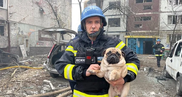 У Запоріжжі рятувальники дістали з-під завалів багатоповерхівки мопса