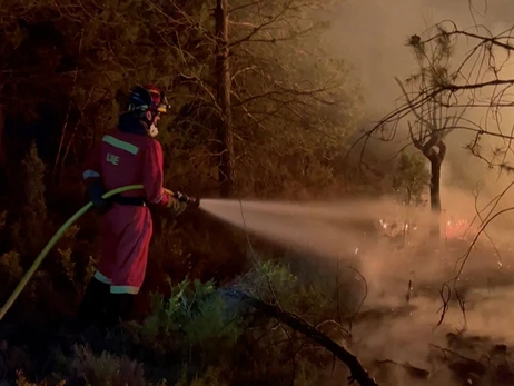 В Іспанії через велику лісову пожежу евакуюють понад тисячу людей  