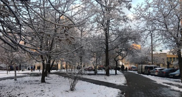 Погода в Украине 28 марта: мокрый снег и мороз