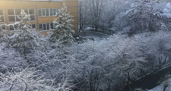 Погода в Украине 6 апреля: запад засыпает снегом, а на юге до 16 градусов тепла