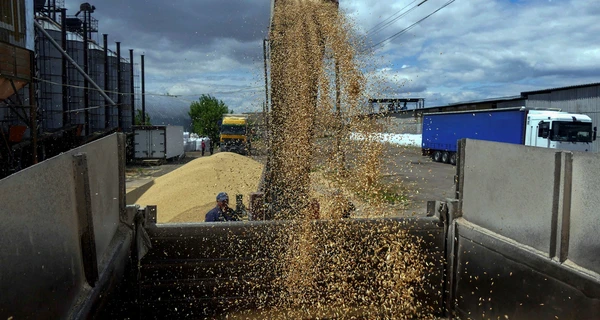 Украина приостановила экспорт зерна в Польшу на фоне протестов фермеров