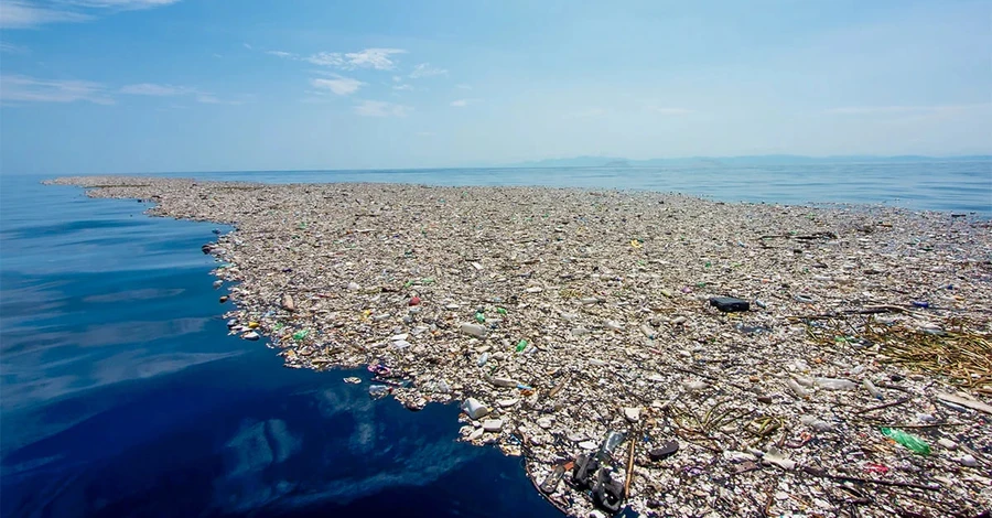 На Большом мусорном пятне в Тихом океане ученые нашли уникальную экосистему 