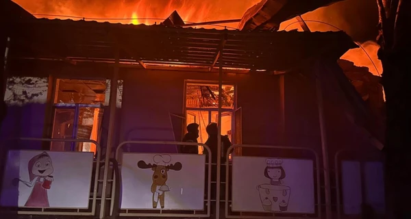 РФ ночью совершила массированную атаку дронами, силы ПВО уничтожили десять 