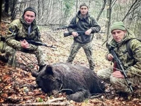 В Закарпатье лесники обвинили пограничников в убийстве медведицы