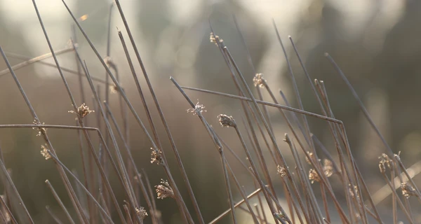 Федоров сообщил о «хлопке» в Мелитополе: сильный взрыв раздался на севере города