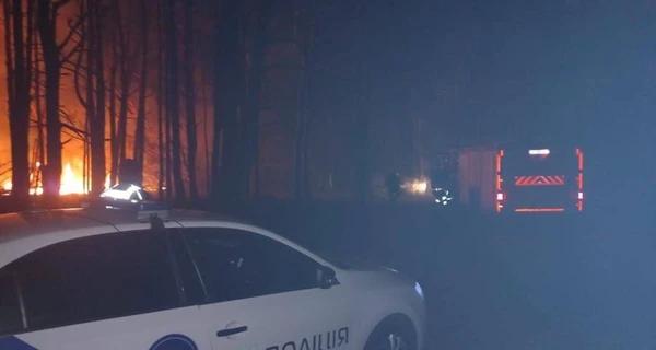 Полиция рассказала о последствиях атаки дронами в Киевской области