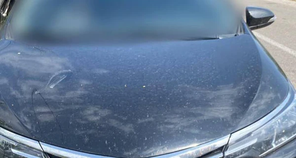 СМИ: В Киеве судья насмерть сбил нацгвардейца