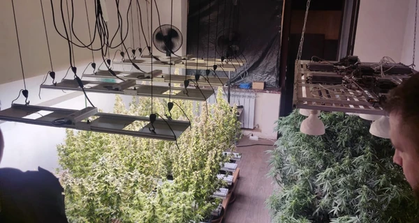 У одессита, угрожавшего прохожим игрушечным оружием, в квартире нашли плантацию конопли