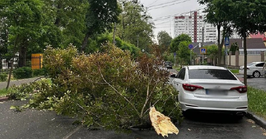 Без света и поваленные деревья: Киев накрыл сильный ураган